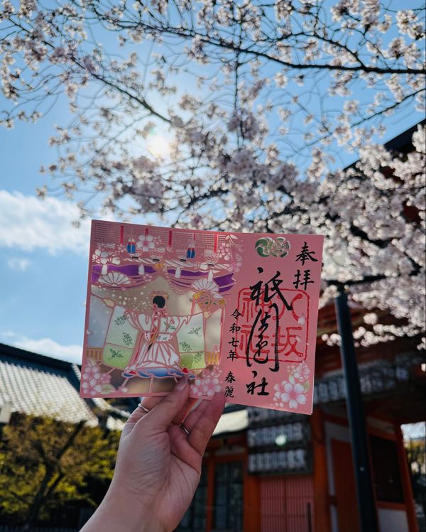 日本・京都「(2025.4)京都女子旅」の写真：舞妓さんちのまかないさん、聖地巡礼