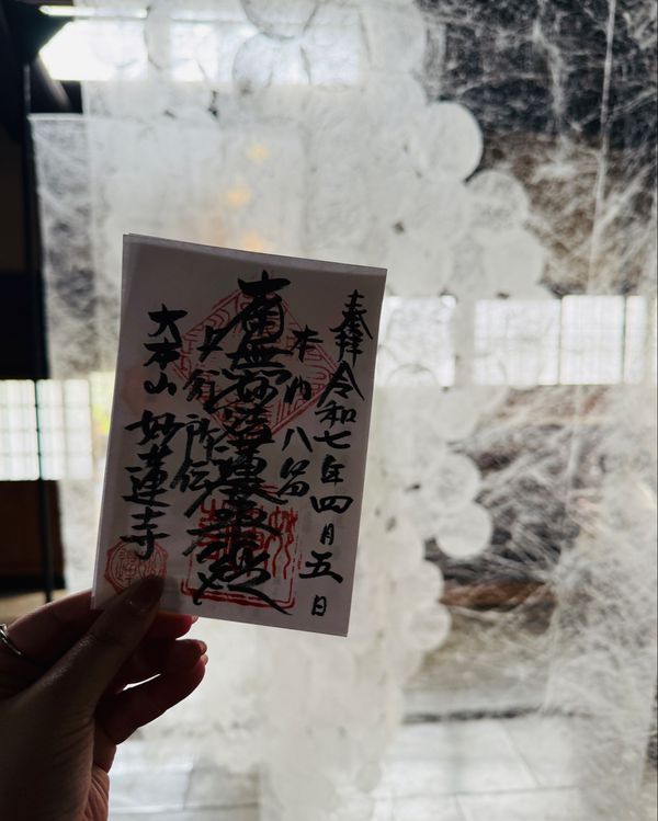 日本・京都「(2025.4)京都女子旅」の写真：鹿のかわいい襖絵