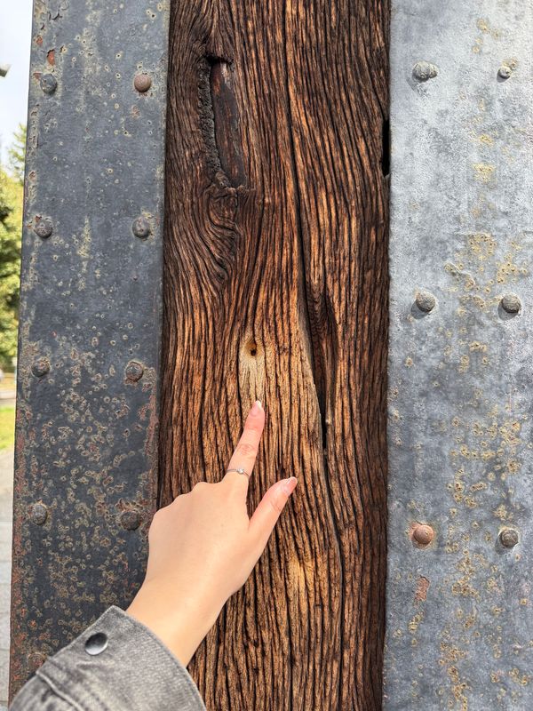 日本・京都「(2025.4)京都女子旅」の写真