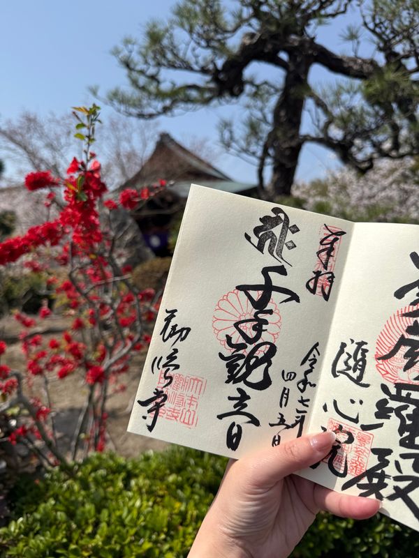 日本・京都「(2025.4)京都女子旅」の写真