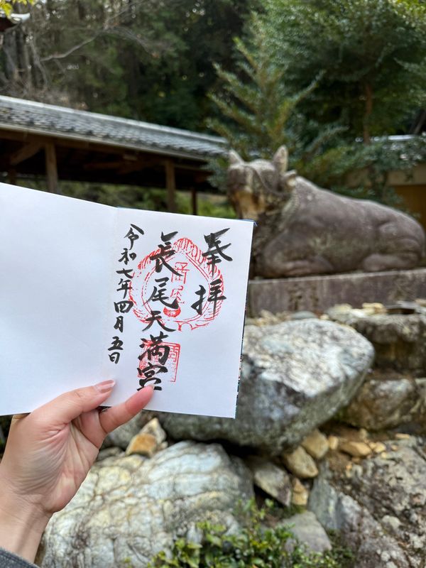 日本・京都「(2025.4)京都女子旅」の写真：菅原道真ゆかりの神社