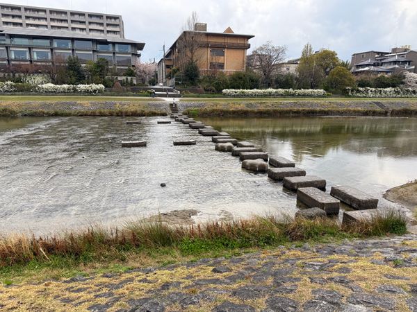 日本・京都「(2025.4)京都女子旅」の写真：舞妓さんちのまかないさん、聖地巡礼