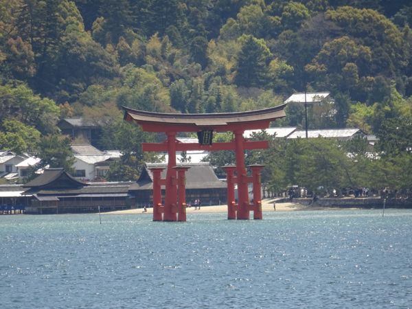 日本・宮島「広島ひとり旅」の写真