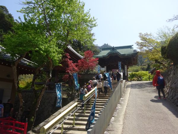 日本・宮島「広島ひとり旅」の写真