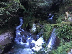 鹿児島世界遺産