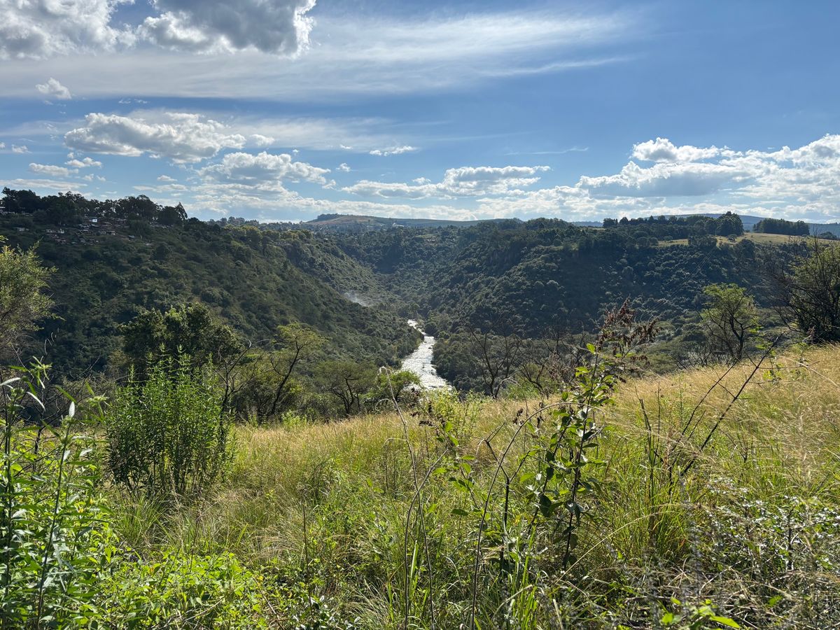 ウムゲニ・バレー自然保護区 uMngeni Valley
ホーウィックの滝...