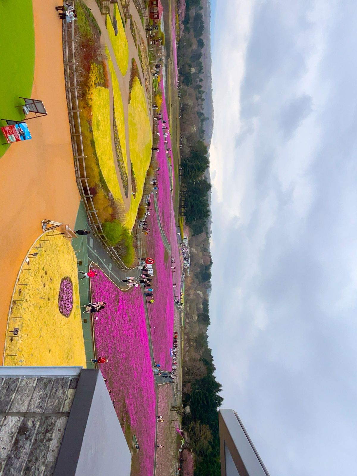 富士芝桜まつり ガーデンタワー