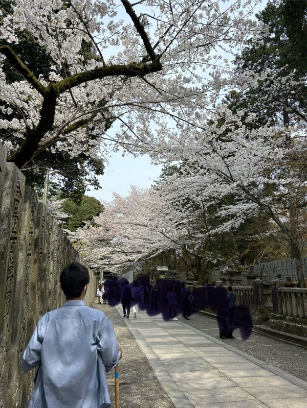 日本・香川県「香川　2025」の写真