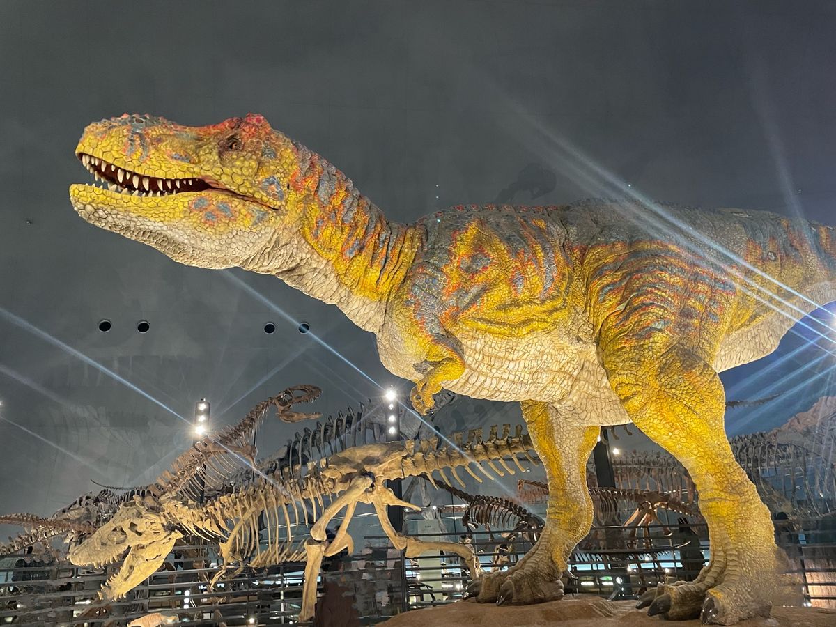 福井県立恐竜博物館