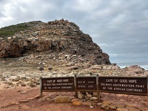 喜望峰に行ってきました。野生のダチョウもいました。