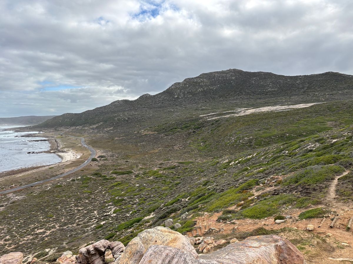 喜望峰に行ってきました。野生のダチョウもいました。