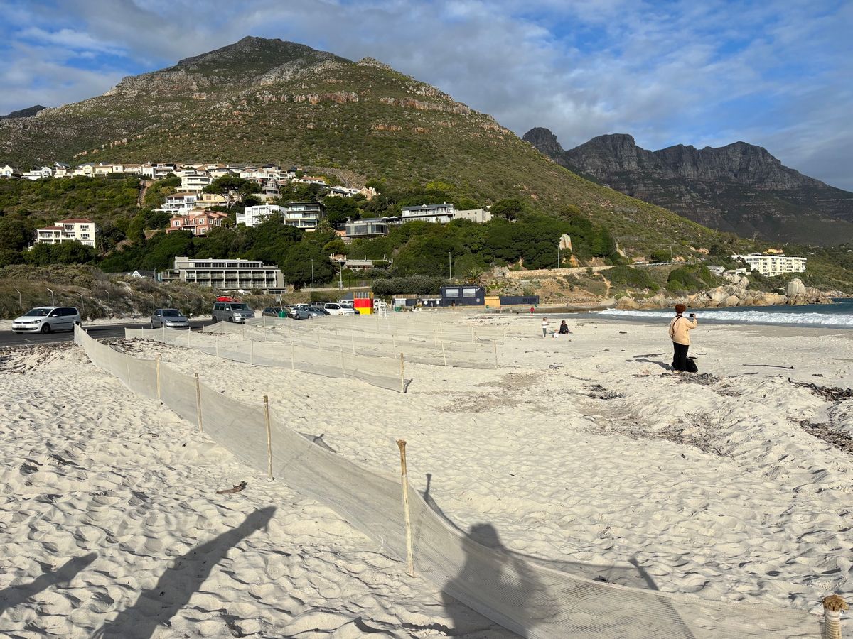 ハウト・ベイ・ビーチで少しだけ子供たちと遊びました。サーフィンをしている人...