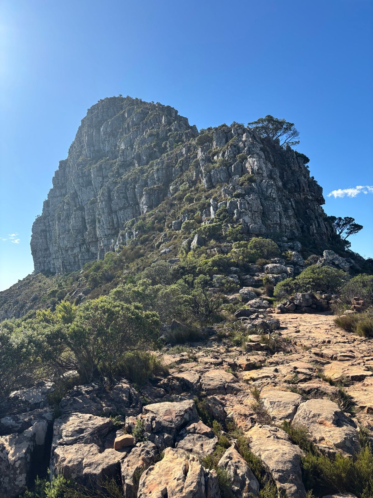 ライオンズヘッドに歩いて登りました。車は登山口近くの駐車場に停めました。登...