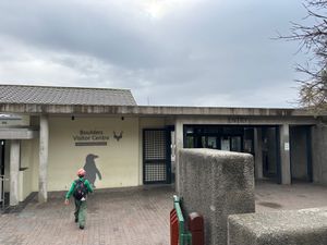 ボルダーズビータでペンギンを見ました。雨が降っていたので、人は少なくすぐに...
