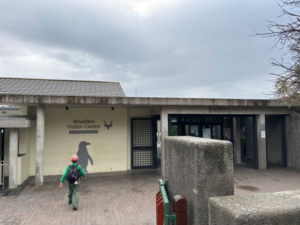 南アフリカ・喜望峰「ケープタウン旅行」の写真：ボルダーズビータでペンギンを見ました。雨...