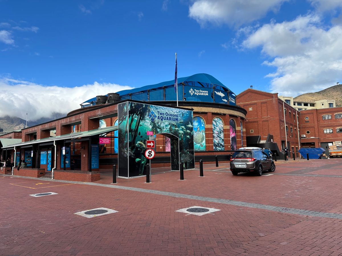 two ocean aquariumに行きました。ケープペンギンが目玉です。