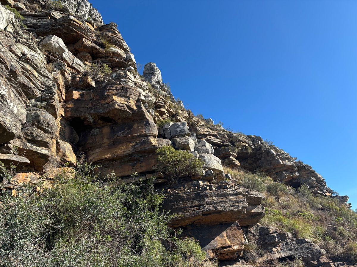 ライオンズヘッドに歩いて登りました。車は登山口近くの駐車場に停めました。登...