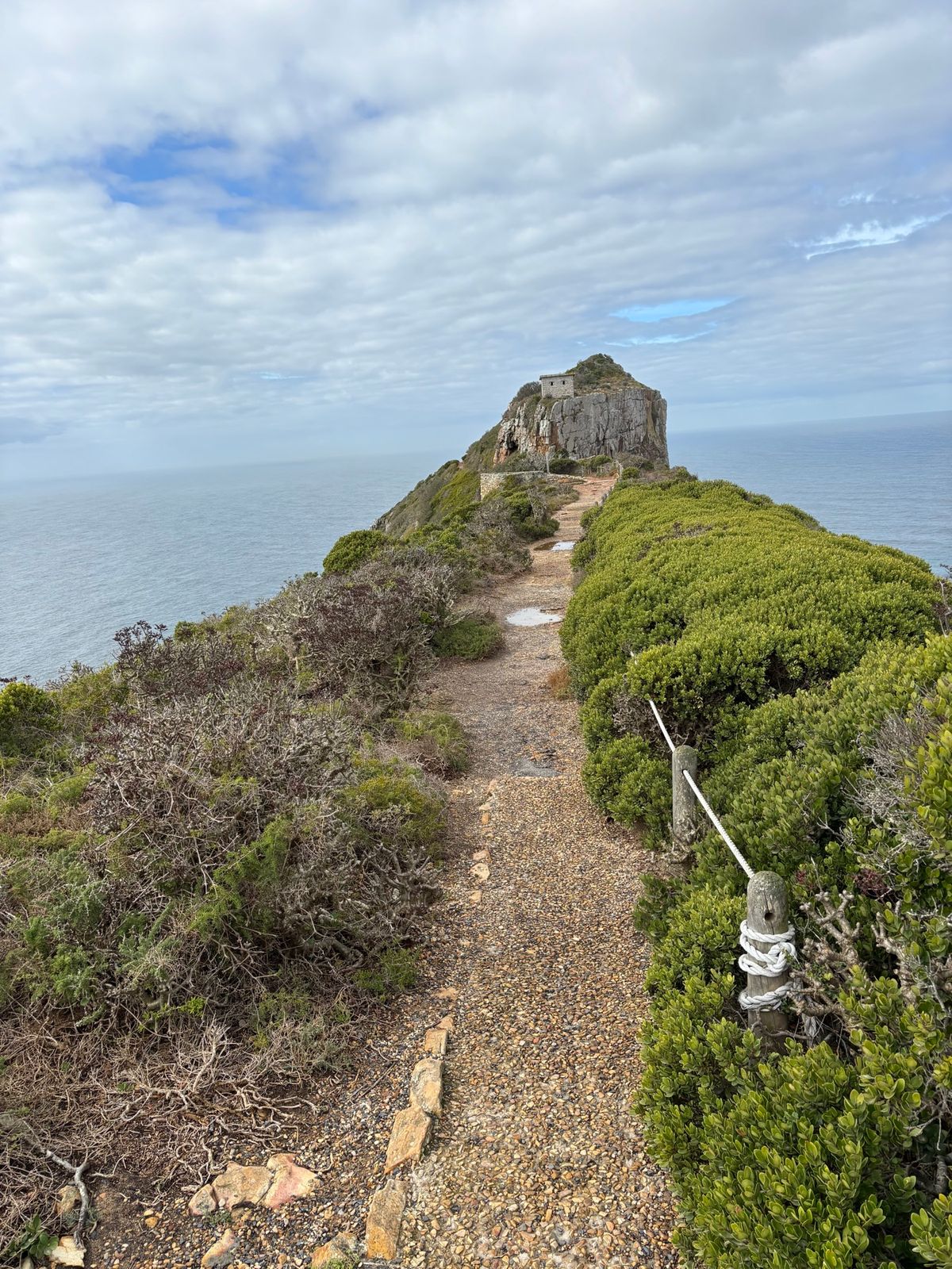 ケープポイントへ行きました。岬の最先端まで歩いて行けます。