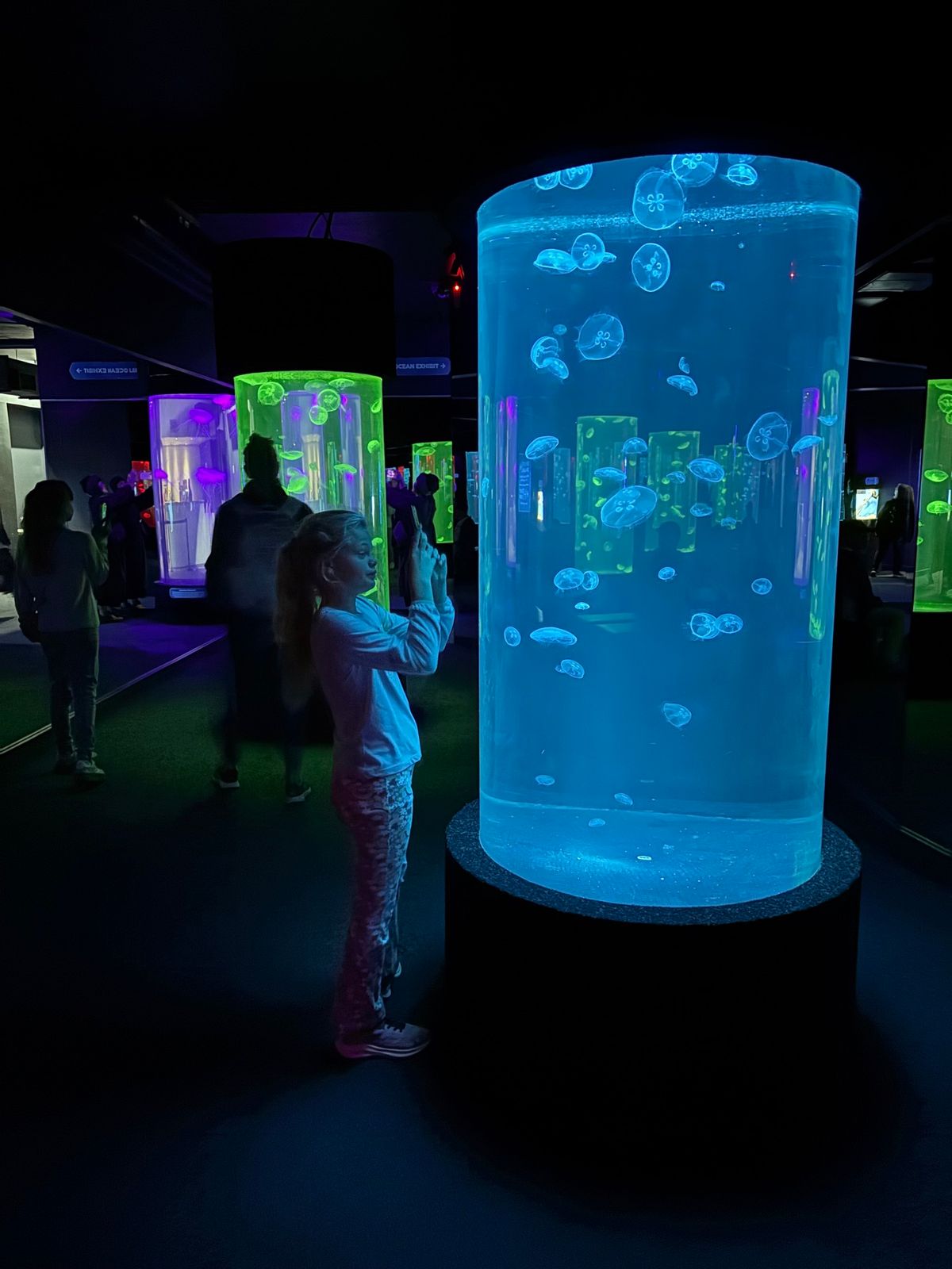 two ocean aquariumに行きました。ケープペンギンが目玉です。