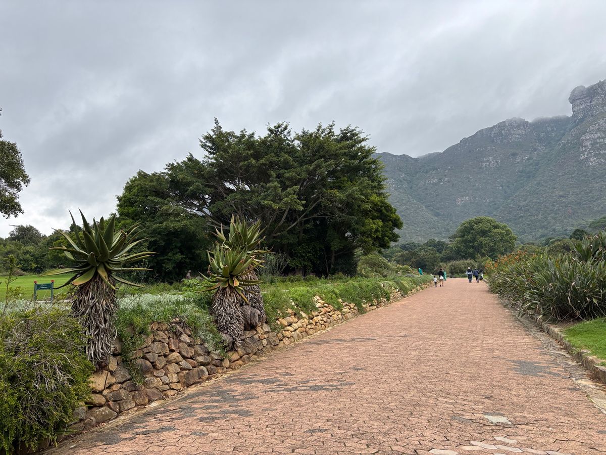 カーステンボッシュ・ナショナル・ボタニカル・ガーデンへ行きました。大変広い...