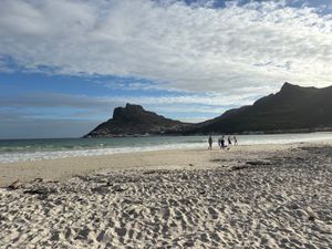 ハウト・ベイ・ビーチで少しだけ子供たちと遊びました。サーフィンをしている人...