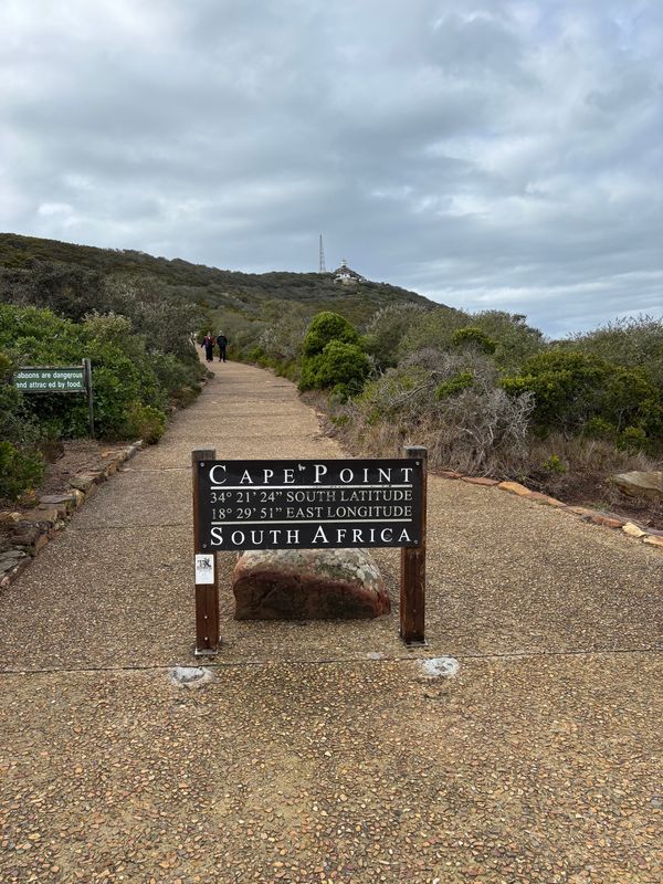 南アフリカ・喜望峰「ケープタウン旅行」の写真：ケープポイントへ行きました。岬の最先端ま...
