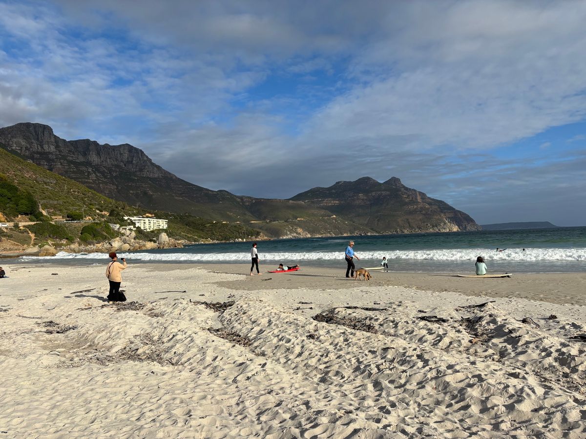 ハウト・ベイ・ビーチで少しだけ子供たちと遊びました。サーフィンをしている人...