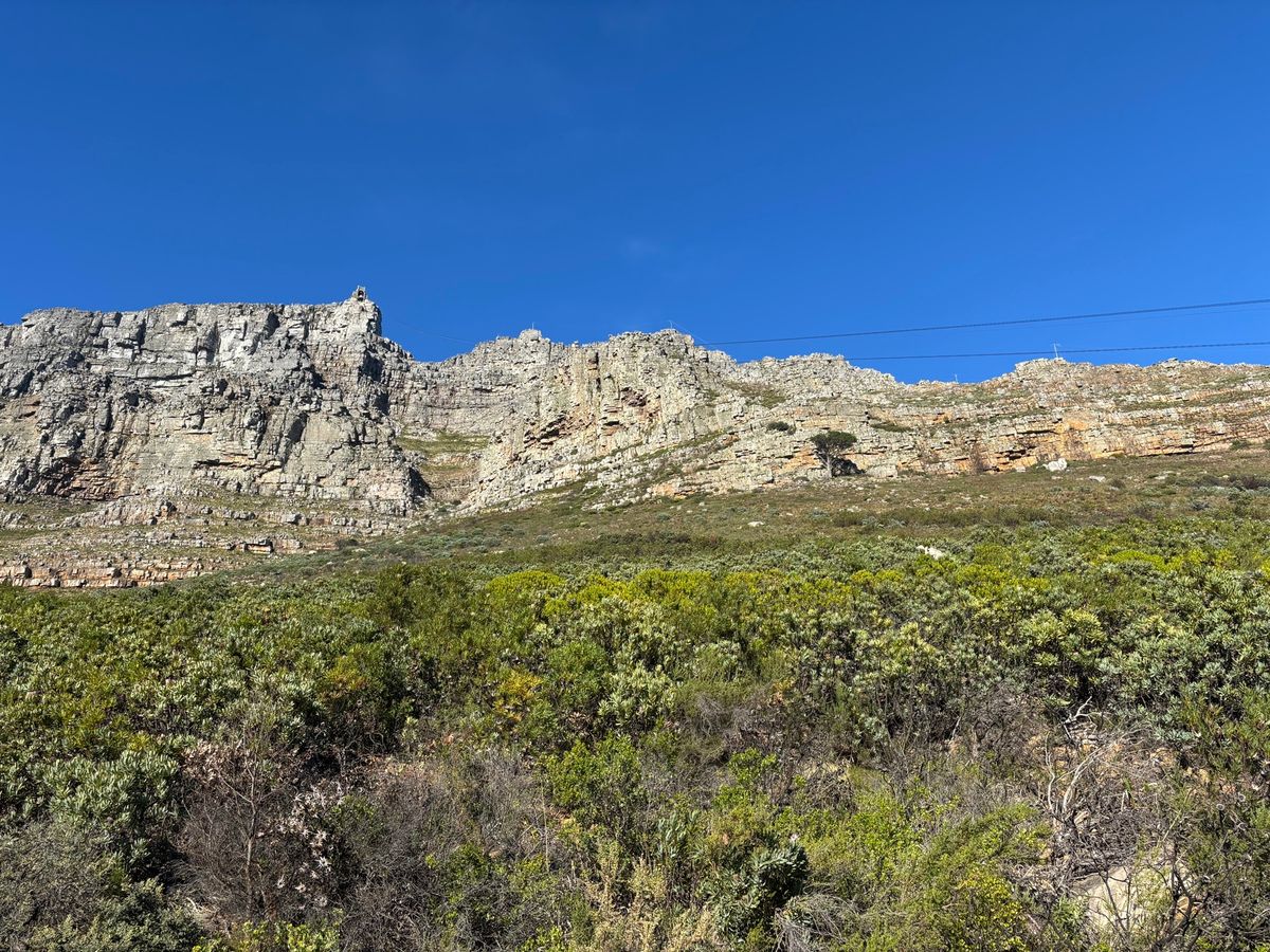 テーブルマウンテンにロープウェイで登りました。頂上からのライオンズヘッドや...