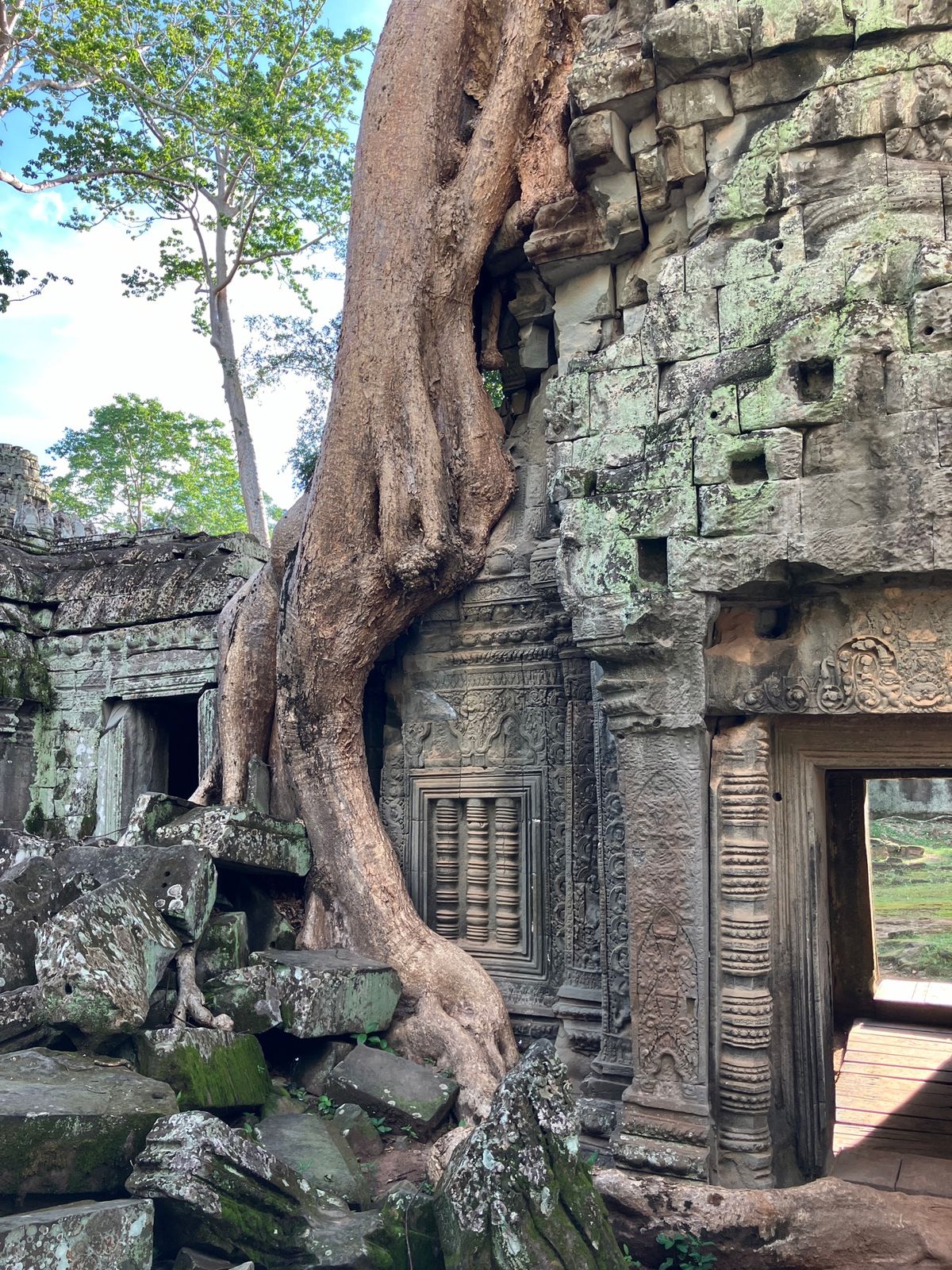 アンコール遺跡群
トゥクトゥクで小回りコースを駆け足で巡る。
夕日を見るツ...