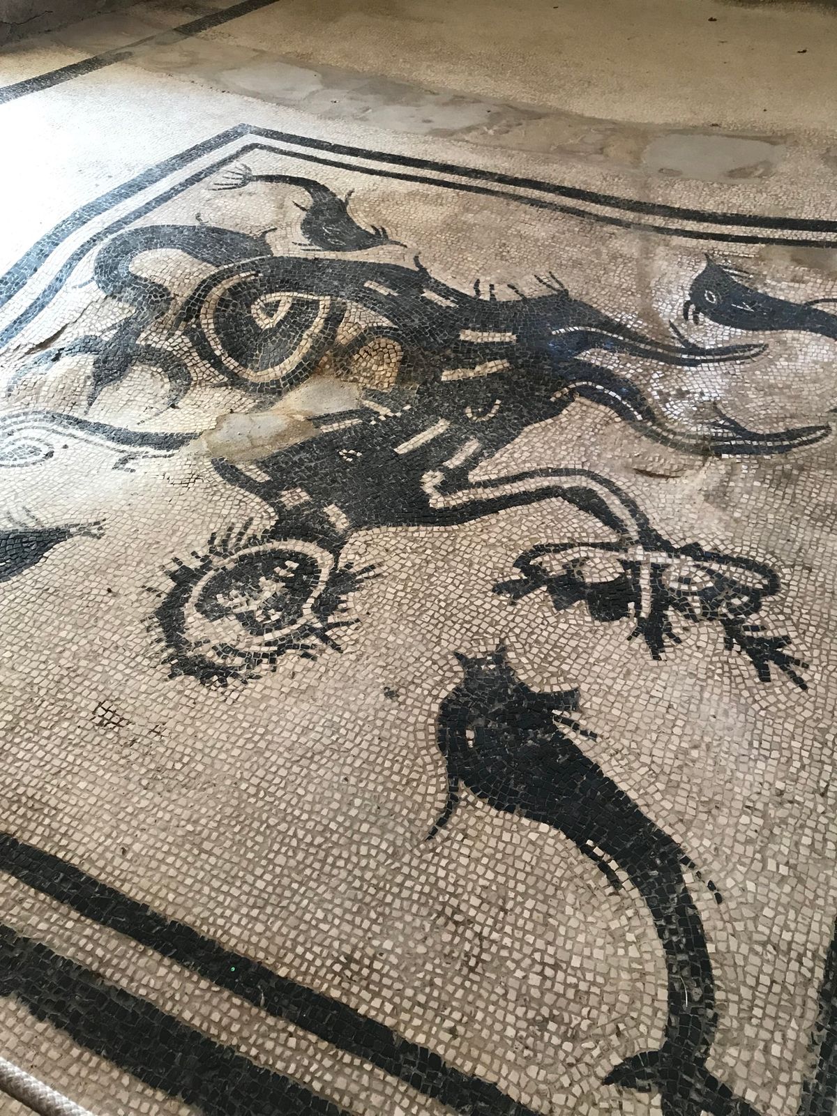 エルコラーノ　＊Arte card利用
ベスビオ火山の噴火により被害を受け...