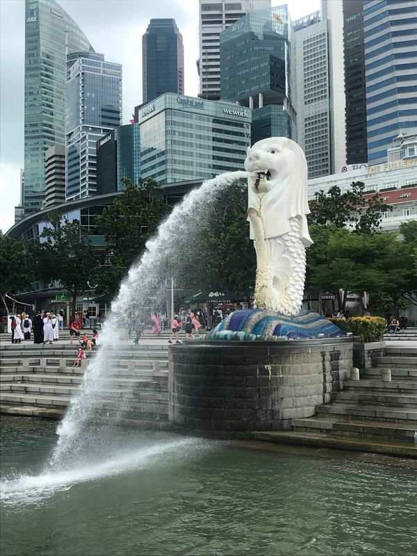 イタリア「ローマ＆ナポリ＆バルセロナ、おまけのシンガポール」の写真：シンガポール
1day ツーリストパスを...