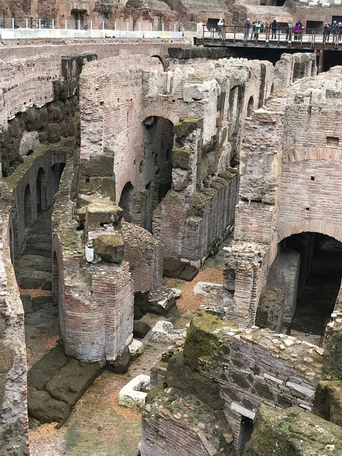 コロッセオ　　　＊Roma pass利用
フォロ・ロマーノ　＊Roma p...