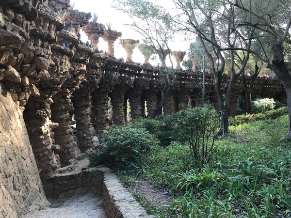 イタリア「ローマ＆ナポリ＆バルセロナ、おまけのシンガポール」の写真：グエル公園
サグラダファミリア
カサ・ミ...