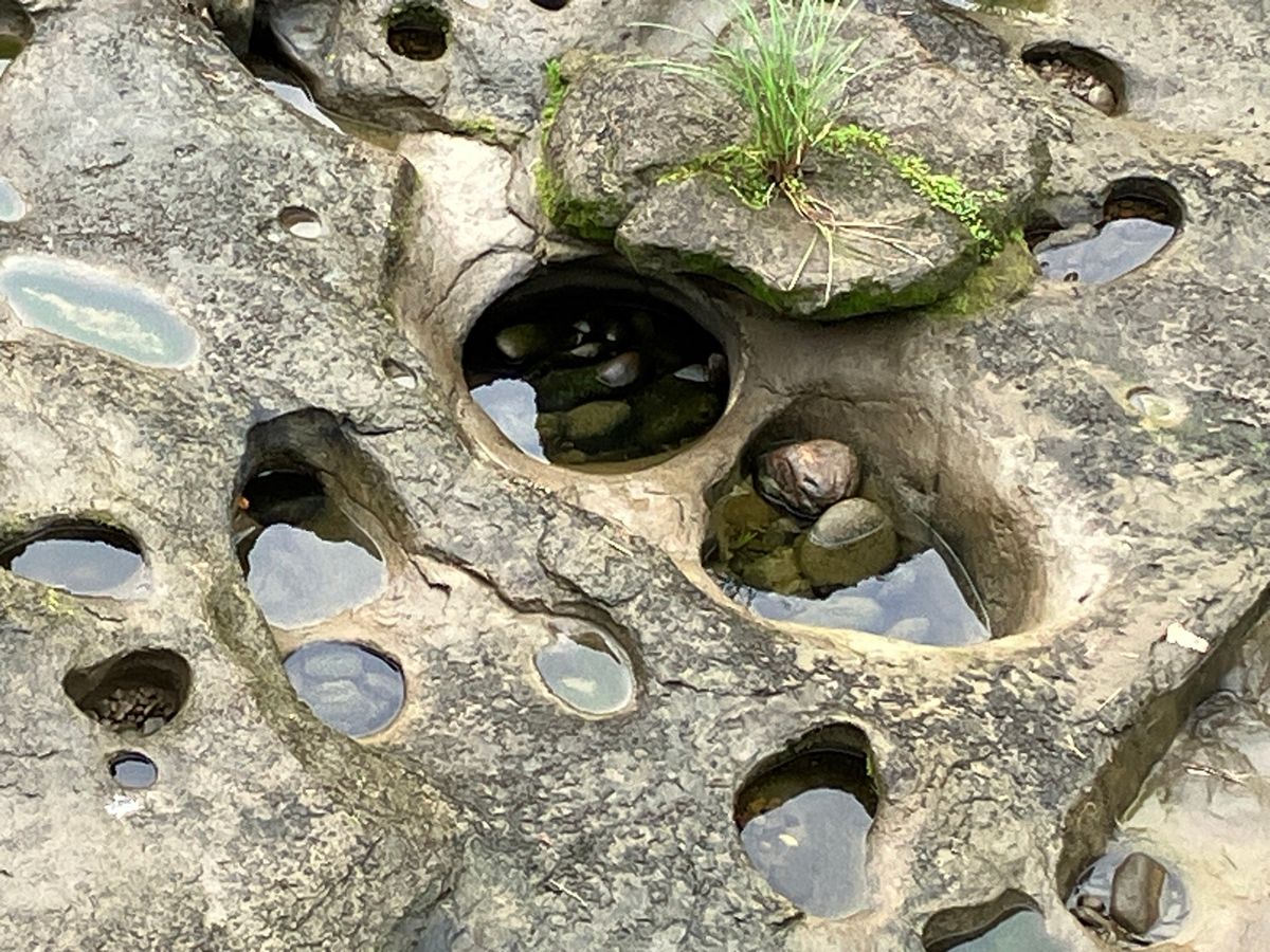 十分瀑布
瀑布、、、というには少し小さいか？
途中のメガネ滝はソレっぽい。...