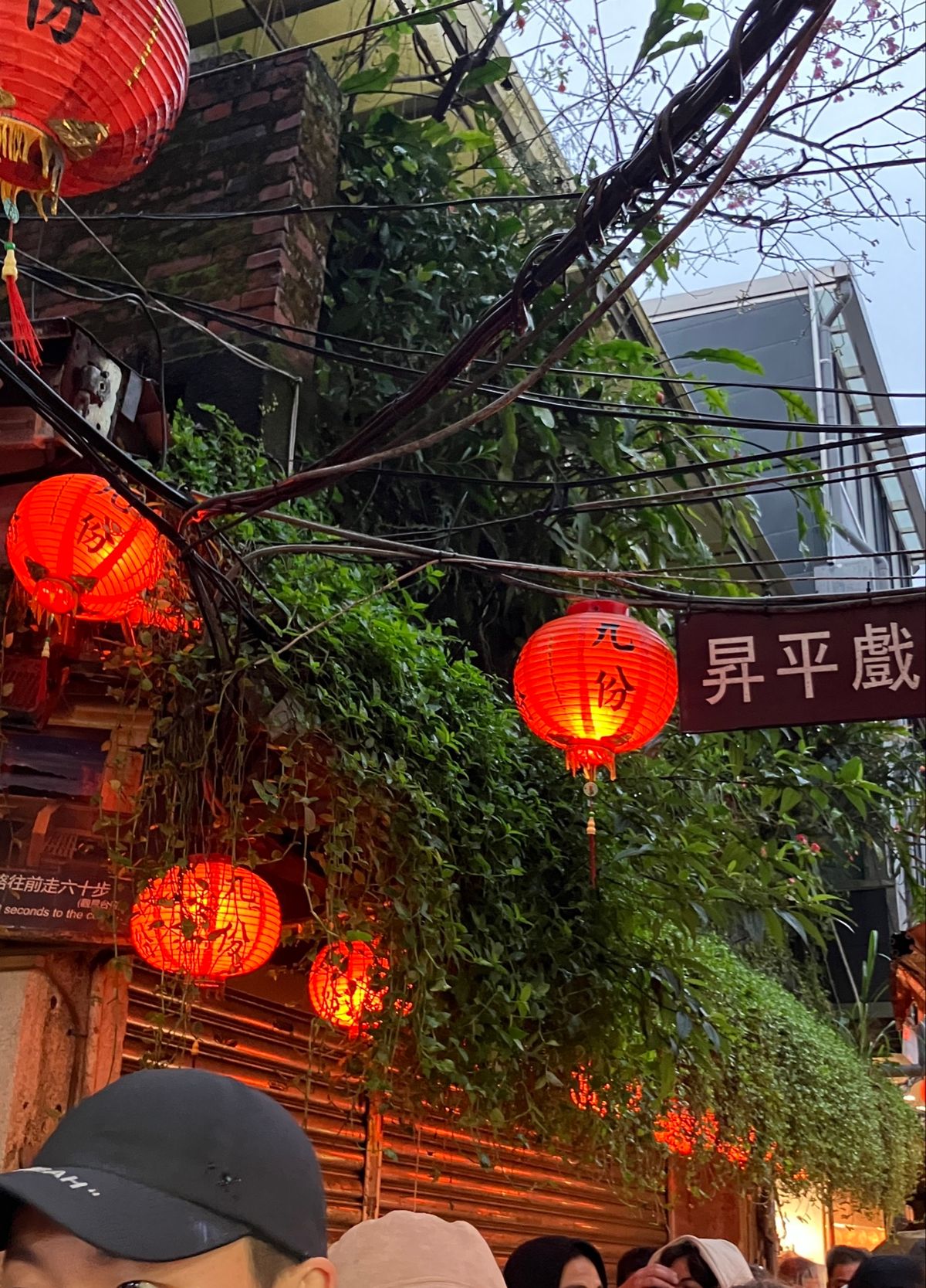 九份
阿姉茶楼を眺められる、海悦楼茶房を予約。
お茶受けのドライグァバにハ...