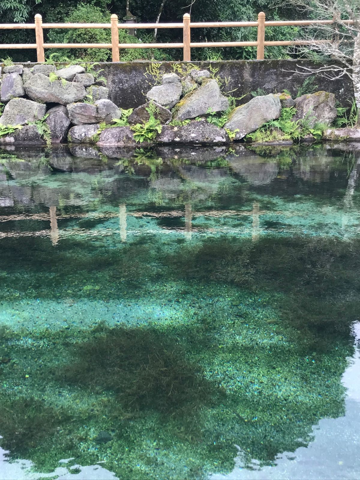 丸池湧水
晴天に恵まれれば、蒼くきらめく池に出会えます。
水汲み場もあります。