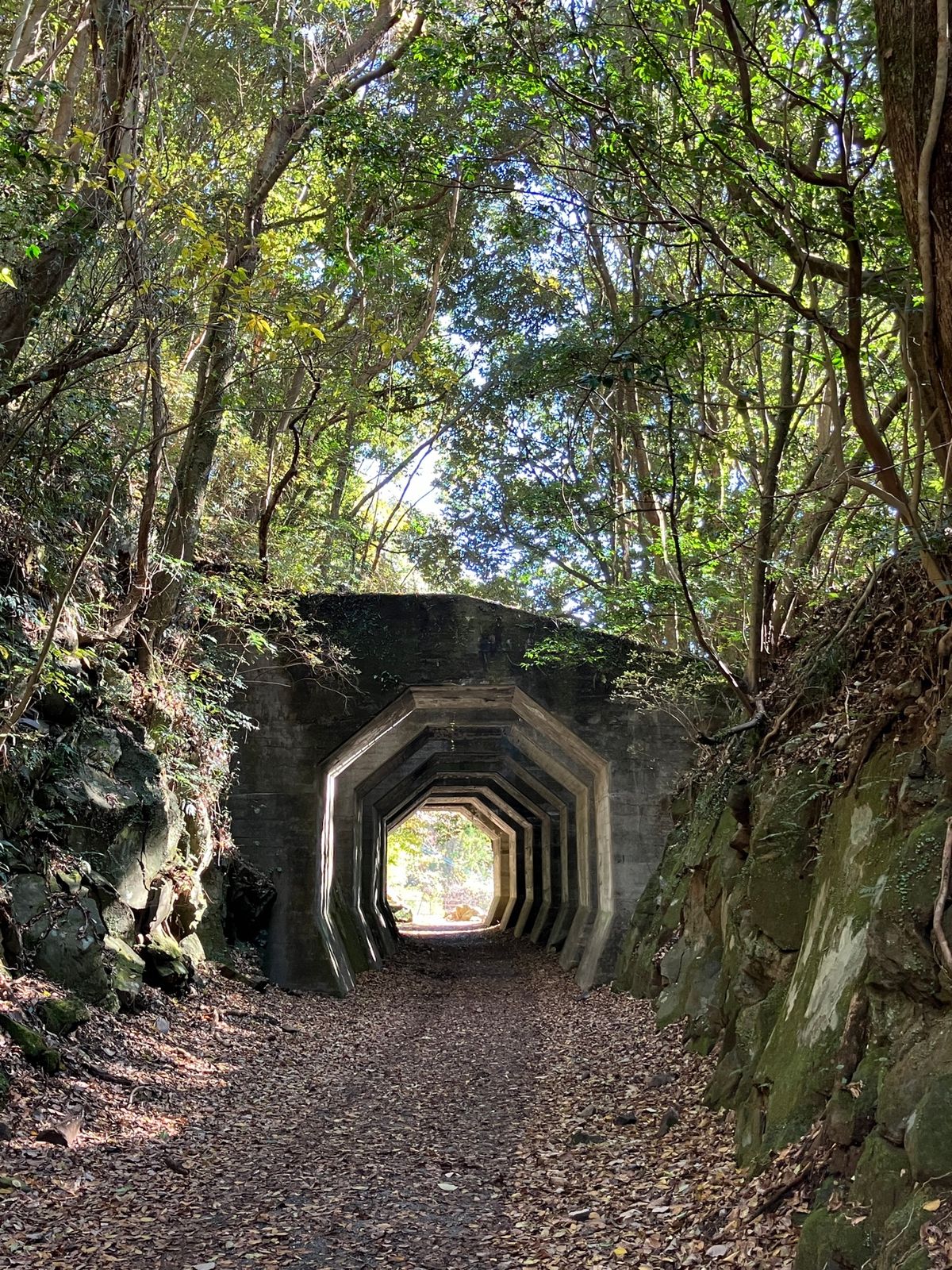 八角トンネル
森の中に突如現れる不思議な形のトンネル。
かつて熊延鉄道で列...
