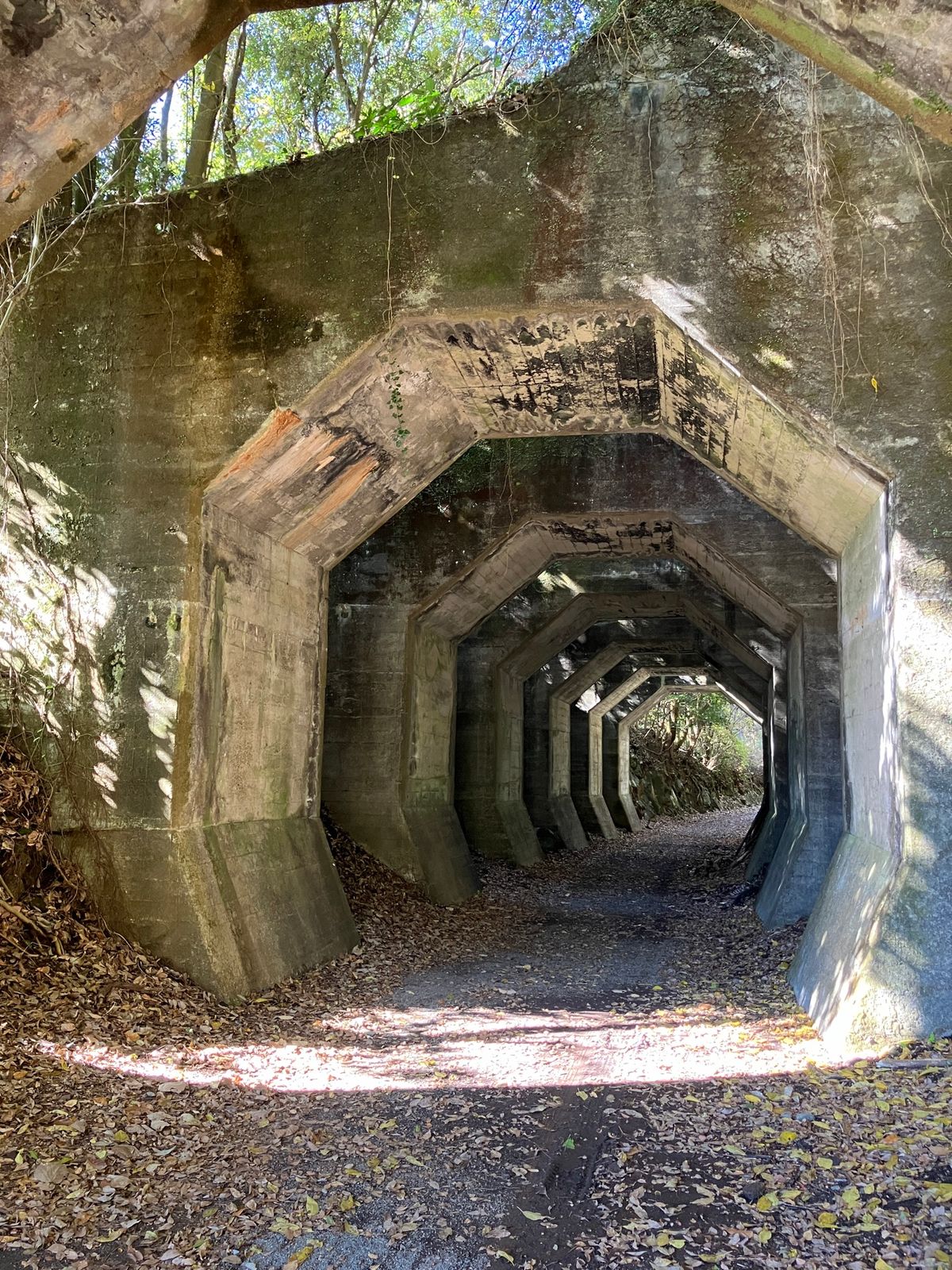 八角トンネル
森の中に突如現れる不思議な形のトンネル。
かつて熊延鉄道で列...
