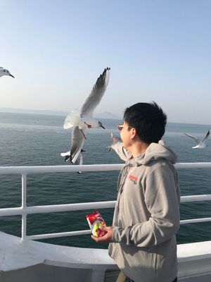 フェリー
熊本港〜島原港
乗船時にえびせんが配られ、カモメの餌やり。
