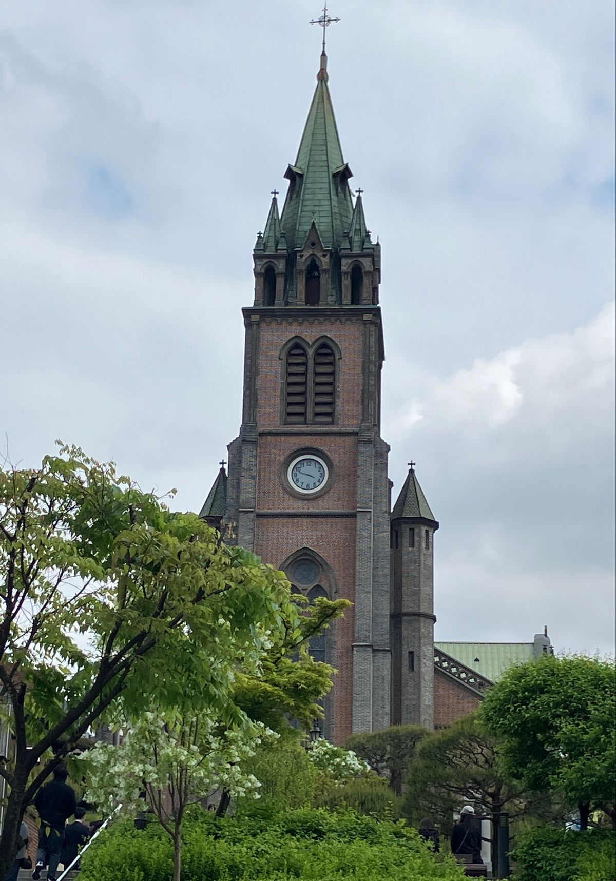 ソウル明洞聖堂
道中の街路樹には、白い花が満開。
とても綺麗でした。何の樹...