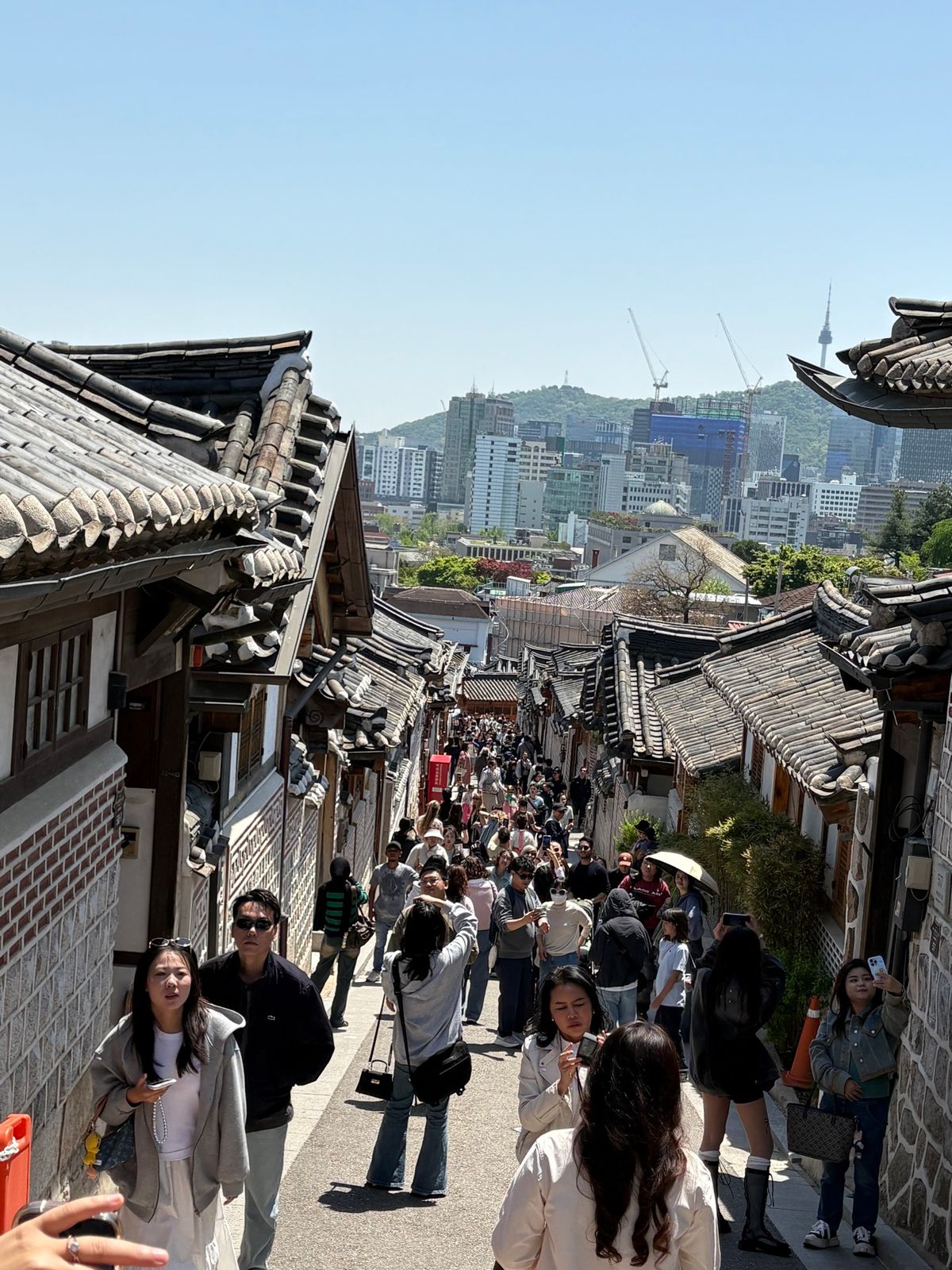 景福宮
韓服を着た観光客の多いこと！
そして松の花粉の多いこと！！
アレル...