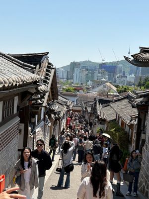 景福宮
韓服を着た観光客の多いこと！
そして松の花粉の多いこと！！
アレル...