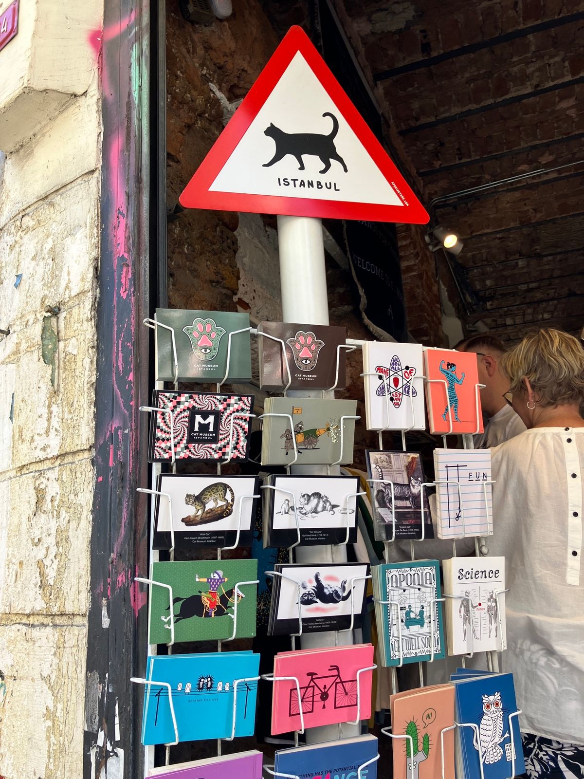 猫だらけ　　 ※写真はごく一部！
イスタンブール、本当に猫がたくさんいまし...