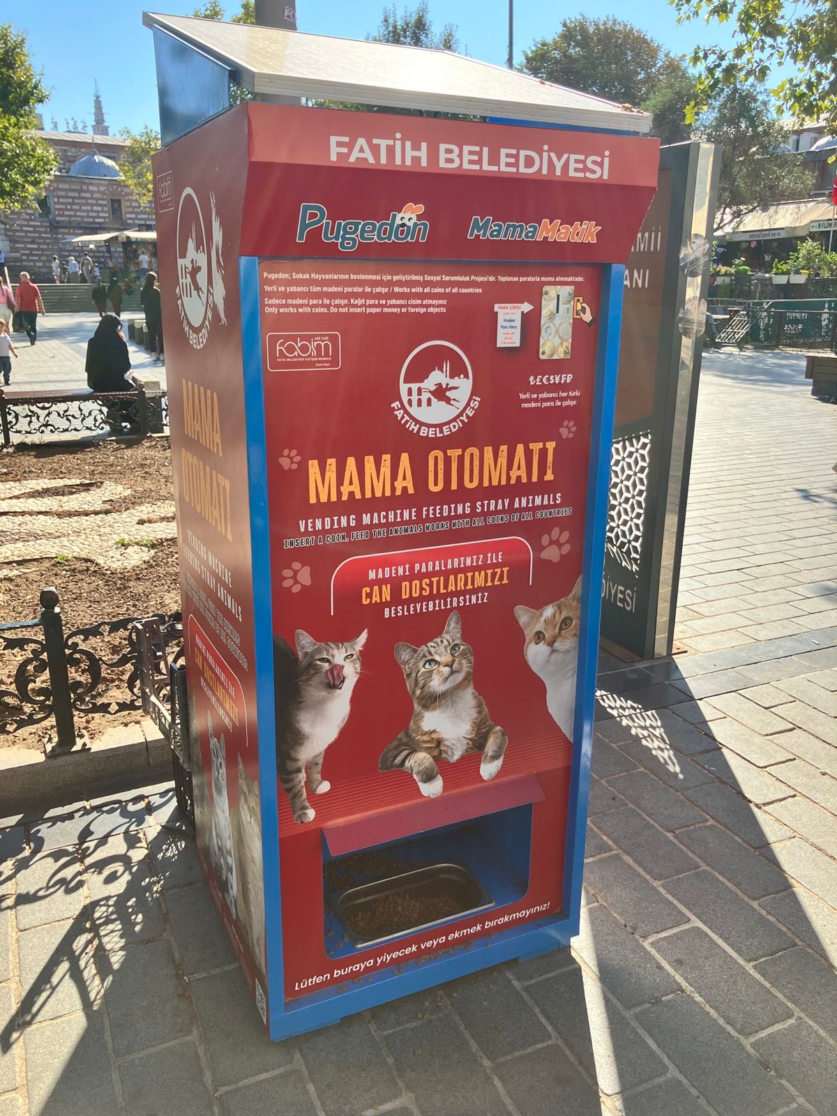 猫だらけ　　 ※写真はごく一部！
イスタンブール、本当に猫がたくさんいまし...