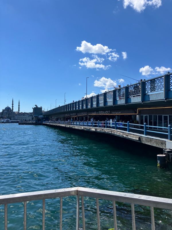 トルコ「イスタンブール&アテネ」の写真：ガラタ橋
朝から釣り人、居ました。そして...