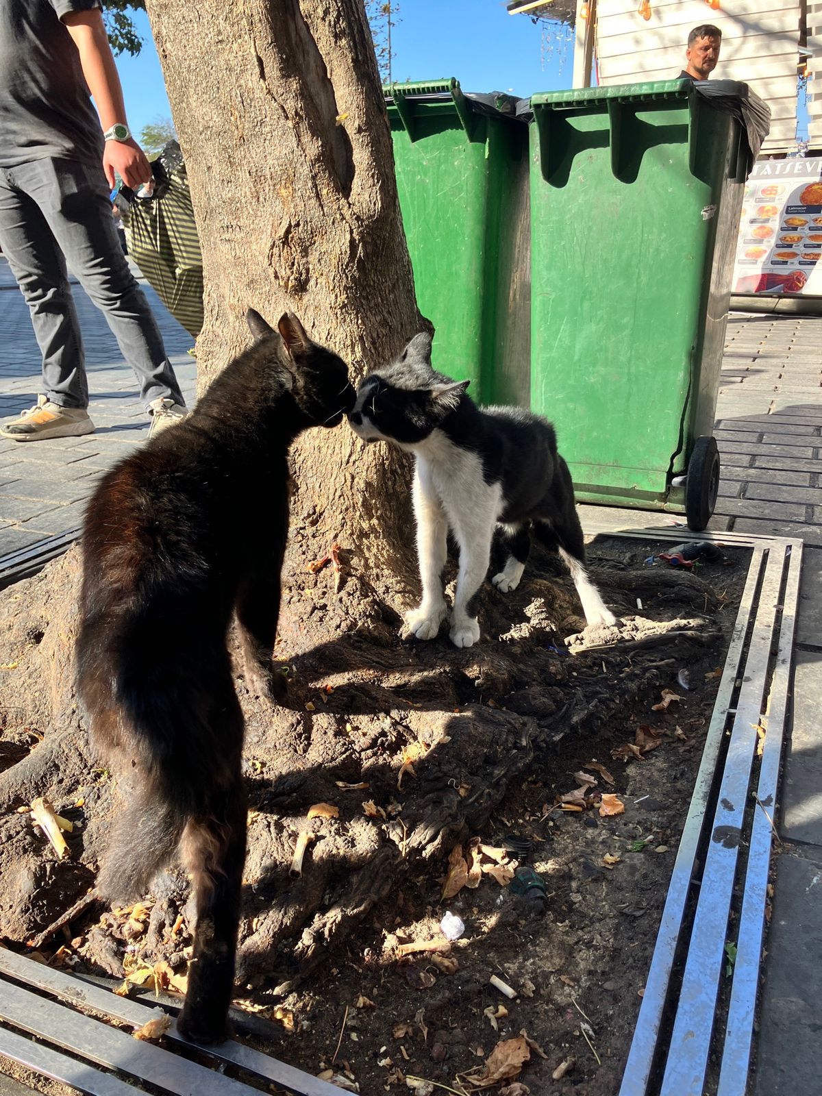 イスタンブール　旧市街
至る所にモスク！
壮大すぎて全体を写真に収めること...