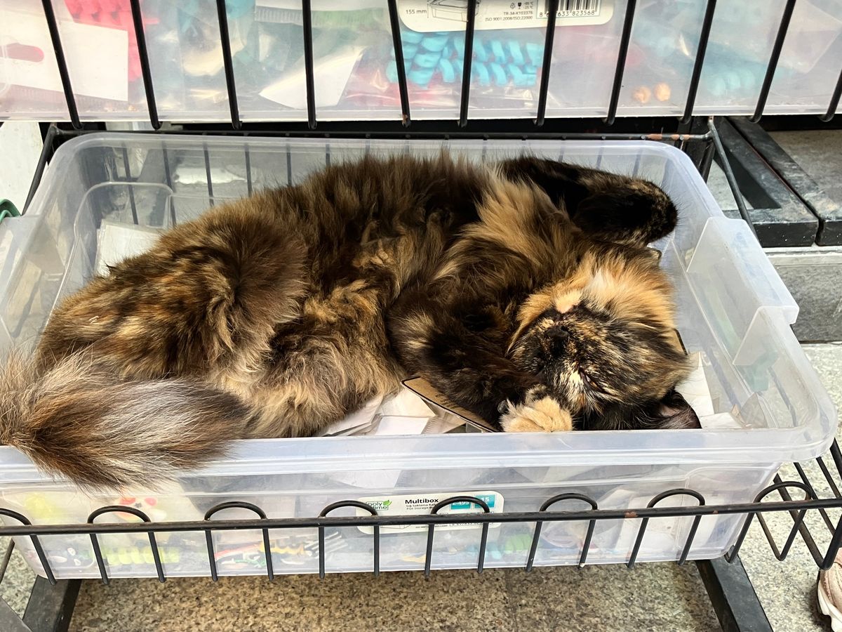 イスタンブール　旧市街
至る所にモスク！
壮大すぎて全体を写真に収めること...