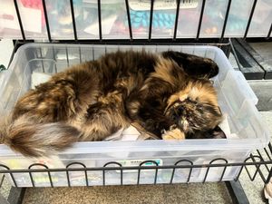 イスタンブール　旧市街
至る所にモスク！
壮大すぎて全体を写真に収めること...