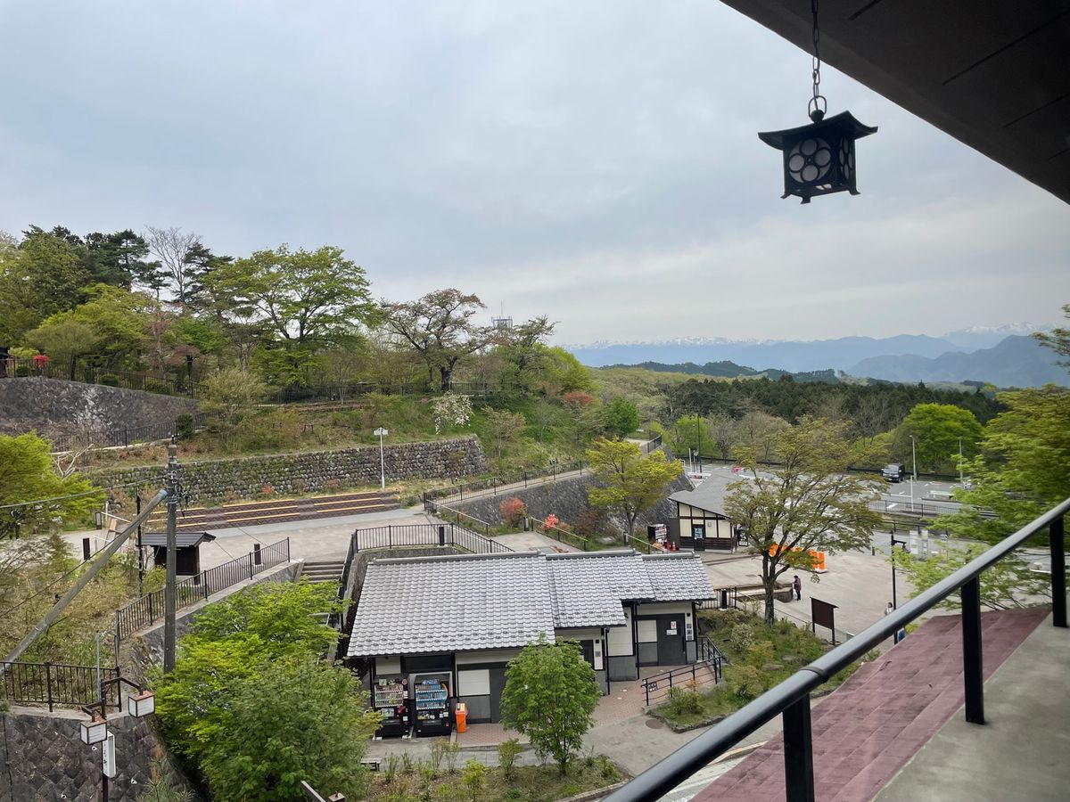 今回宿泊したのは石段の麓にある温泉旅館「お宿玉樹」、とてもリーズナブルでホ...