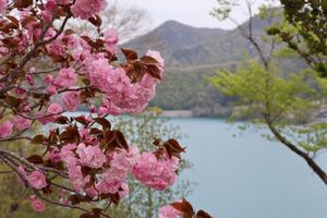 草津温泉に向かう途中で立ち寄った八ツ場ダム。水の色がとても綺麗でした。